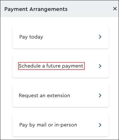 Image of schedule a future payment option online