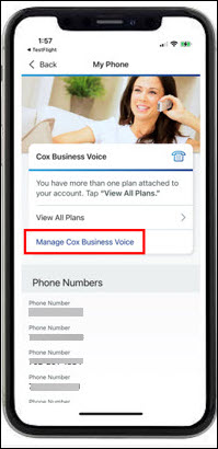 Image of Manage CB Voice