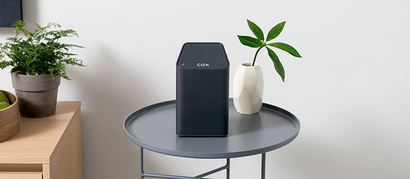 Cox Panoramic Wifi equipment on table with plants in background