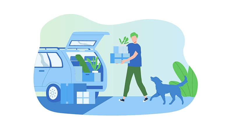 Moving - Loading car with pet