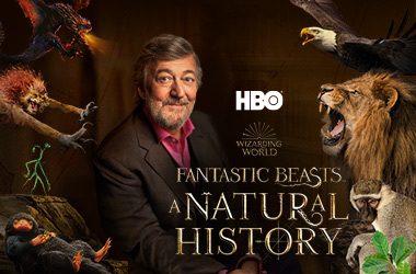 HBO Cox deal Fantastic Beasts: A Natural History