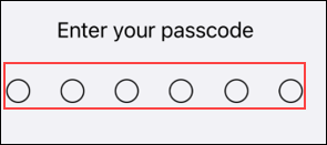 Image of enter your passcode